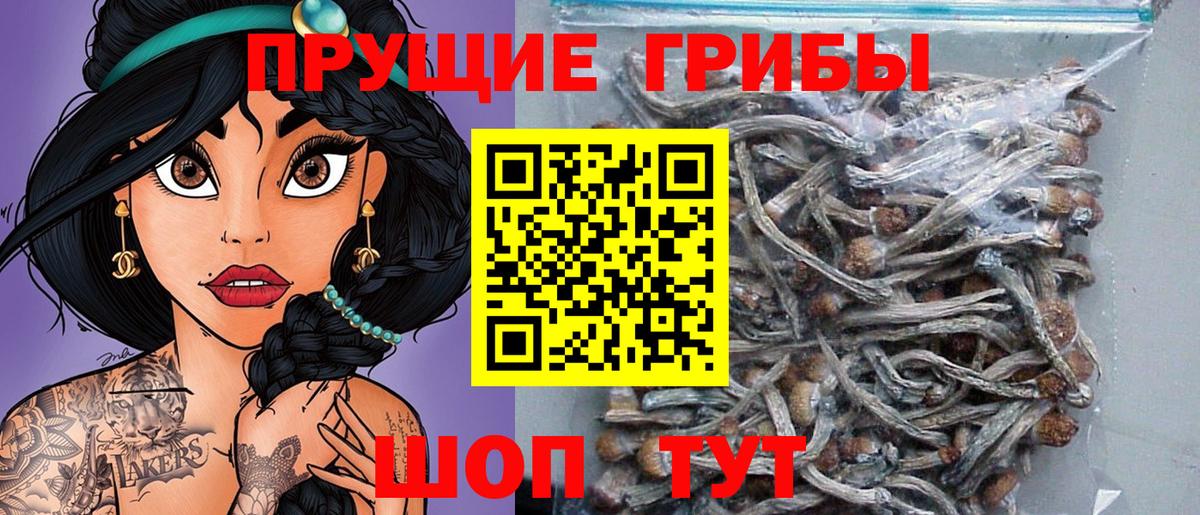Галлюциногенные грибы прущие грибы  Вход с VPN  Великий Новгород  Галлюциногенные грибы мицелий 