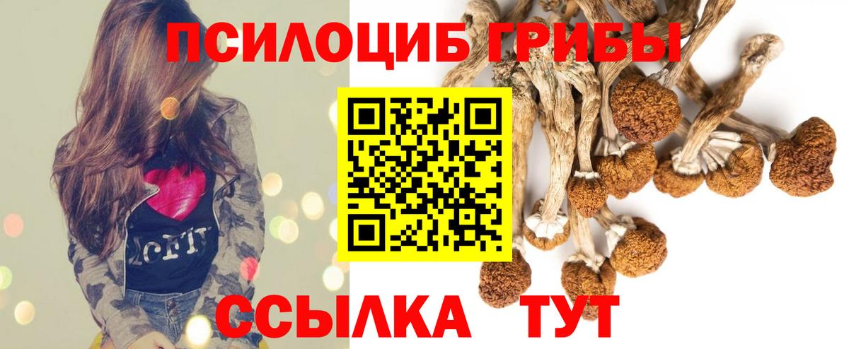 Псилоцибиновые грибы мухоморы Великий Новгород
